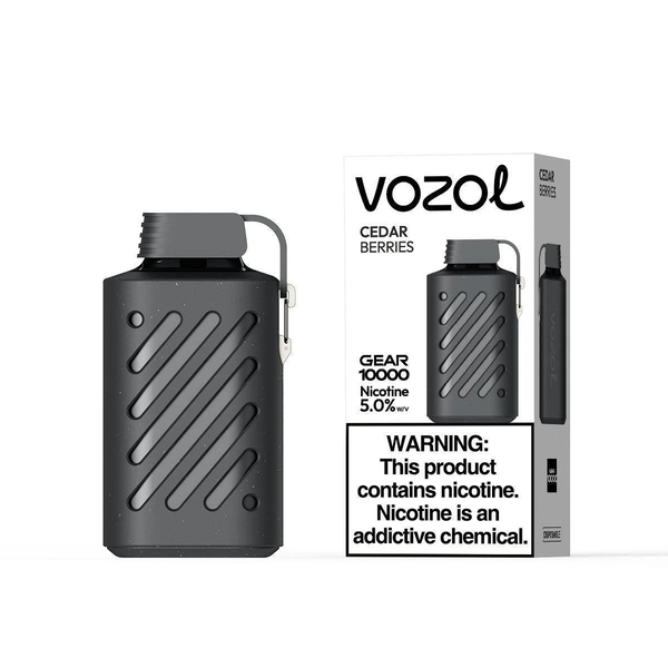 VOZOL GEAR 10000